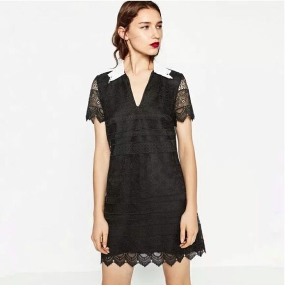black dress with white collar zara Alexis Mini Dress Black main image 0